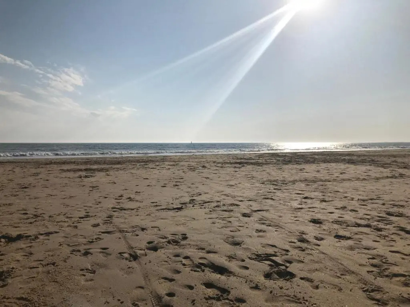 26 avenue des Tilleuls