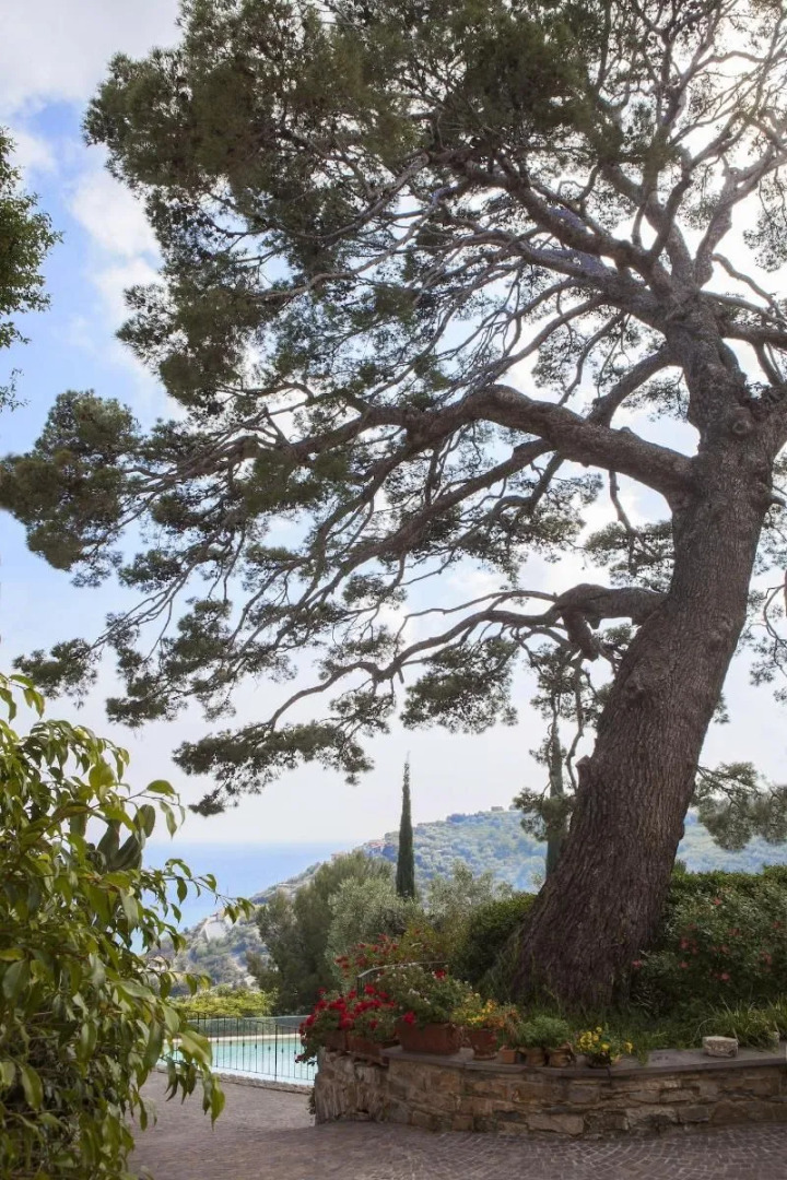 Agriturismo Uliveto Saglietto