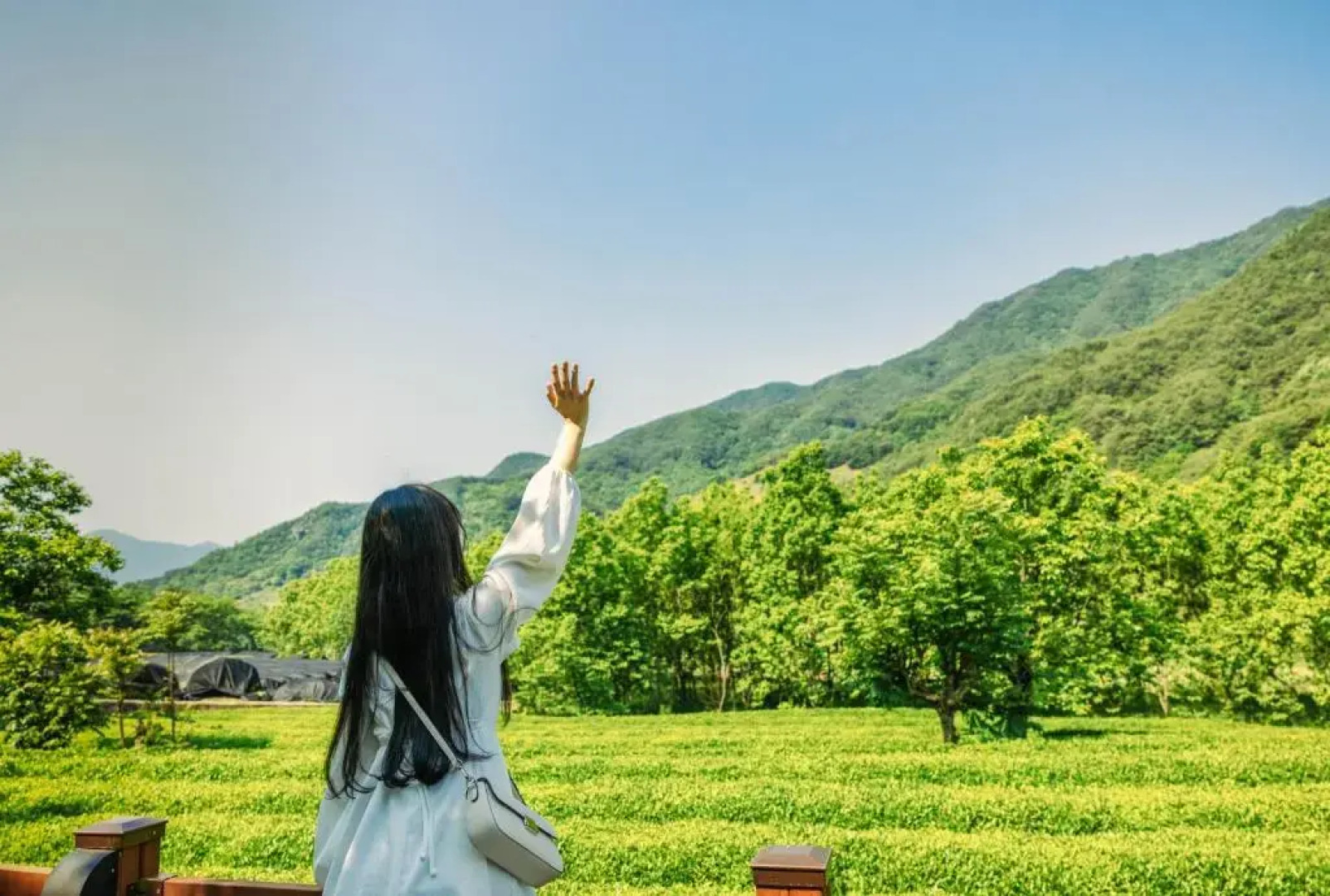 Kensington Resort Jirisan Hadong