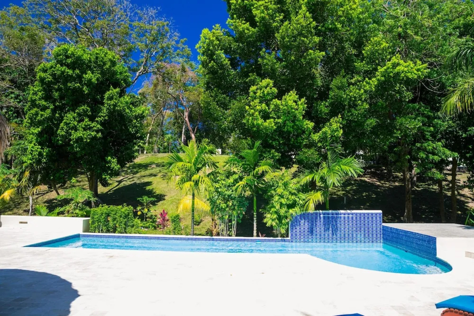 Lawson Rock Parrotfish 206