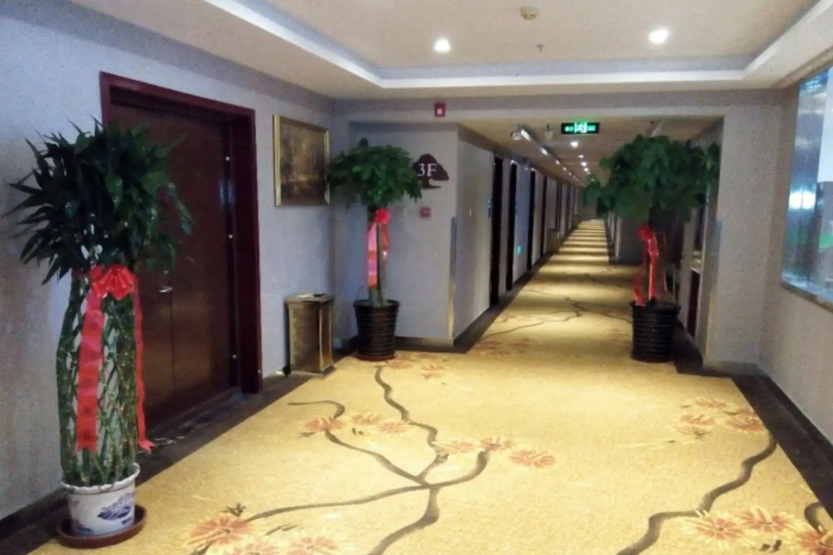 GreenTree Inn Geermu Walking Street Business Hotel