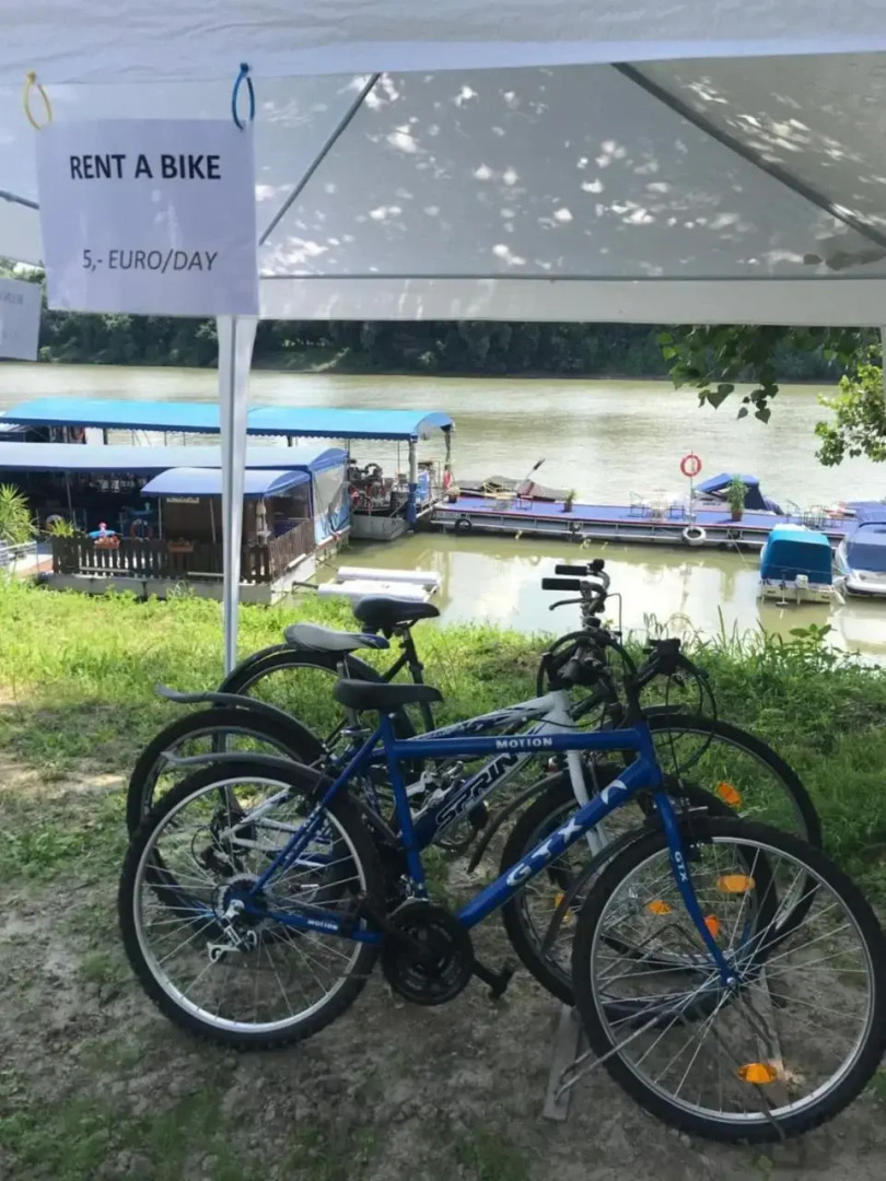 Tisza-beach wild camping4