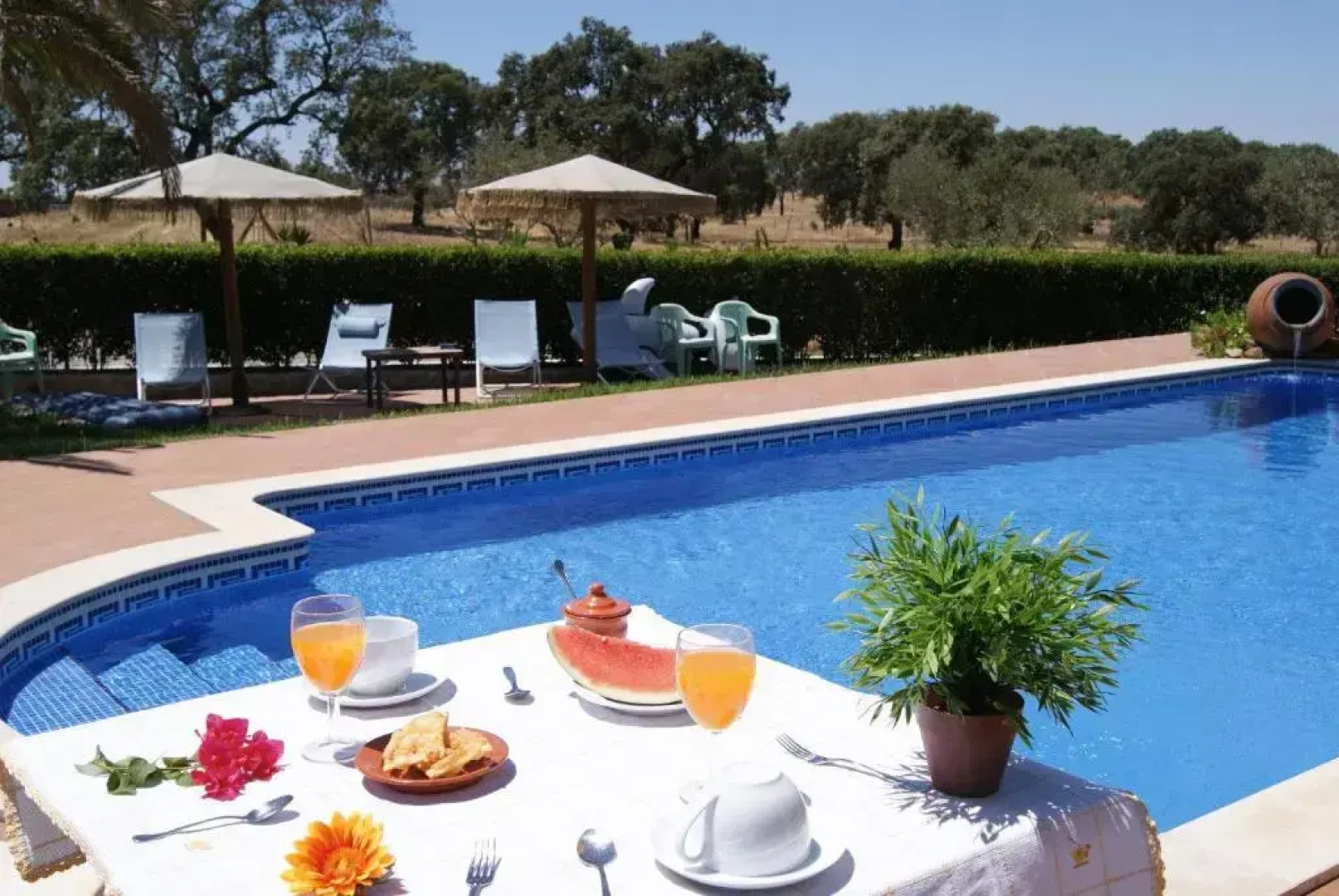 Agro-Turismo Monte da Galega