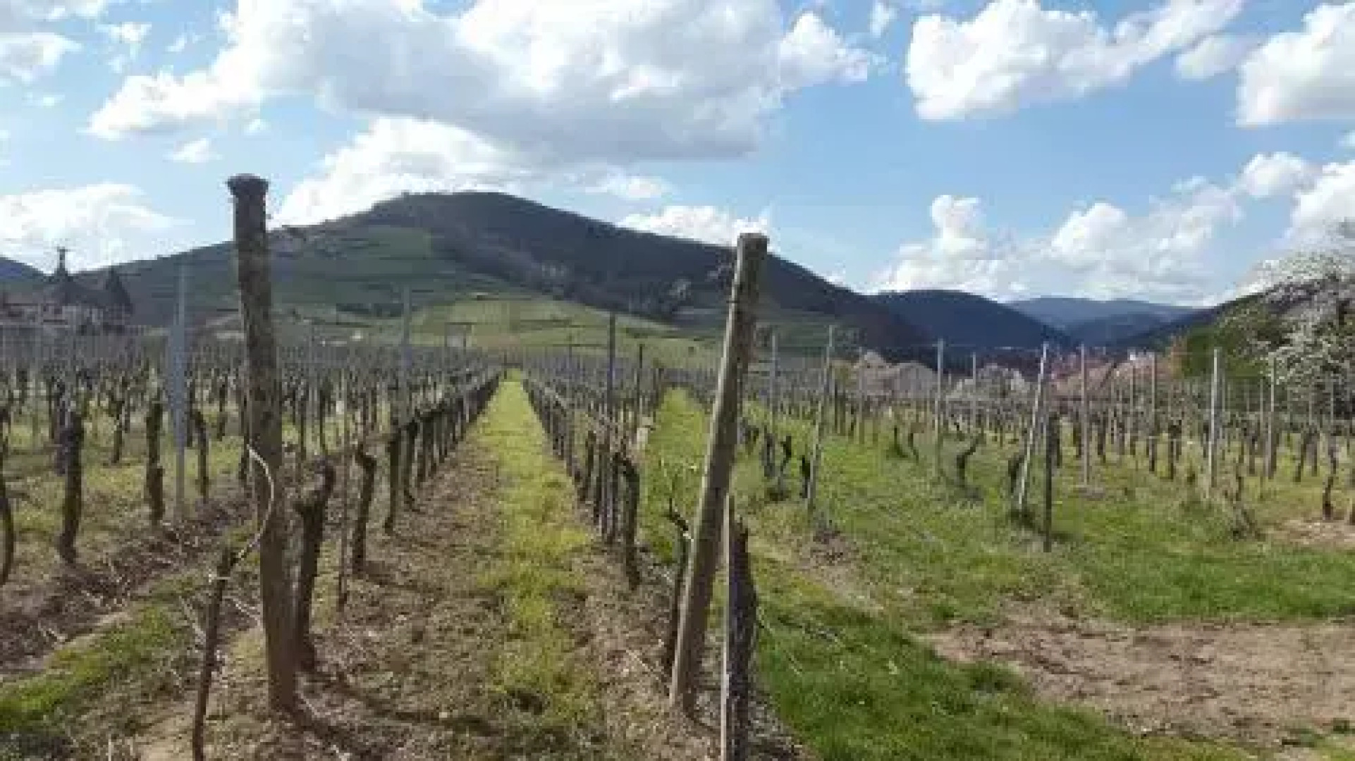 Le gîte dAmmerschwihr