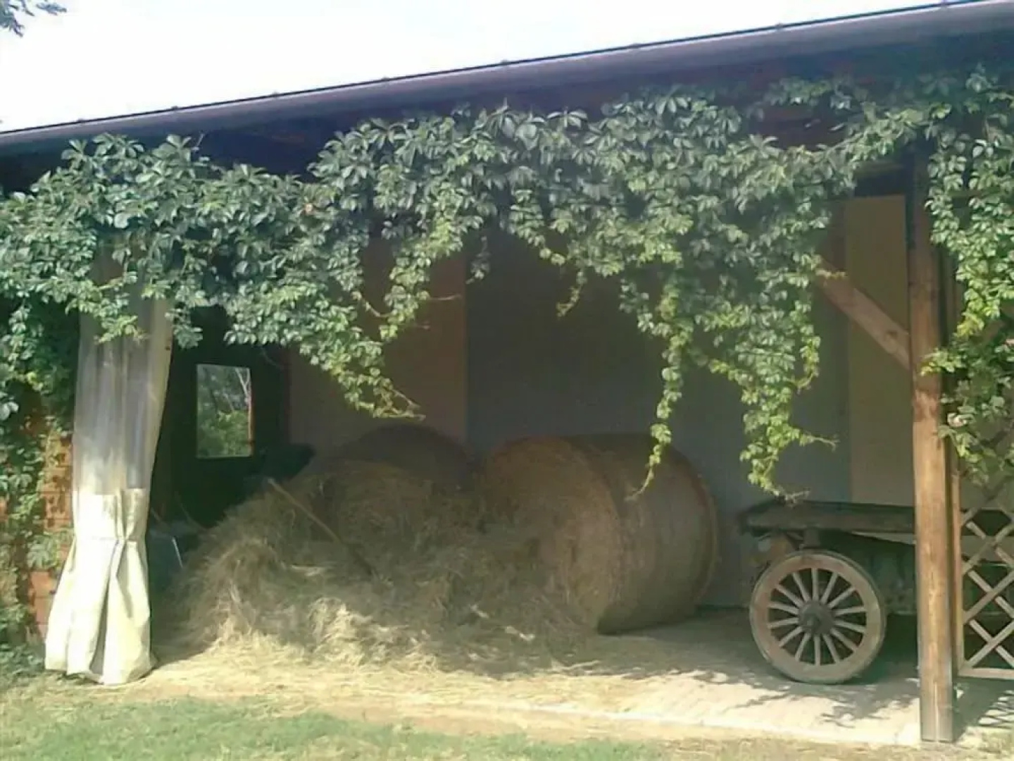 Agriturismo Ca' de' Gatti