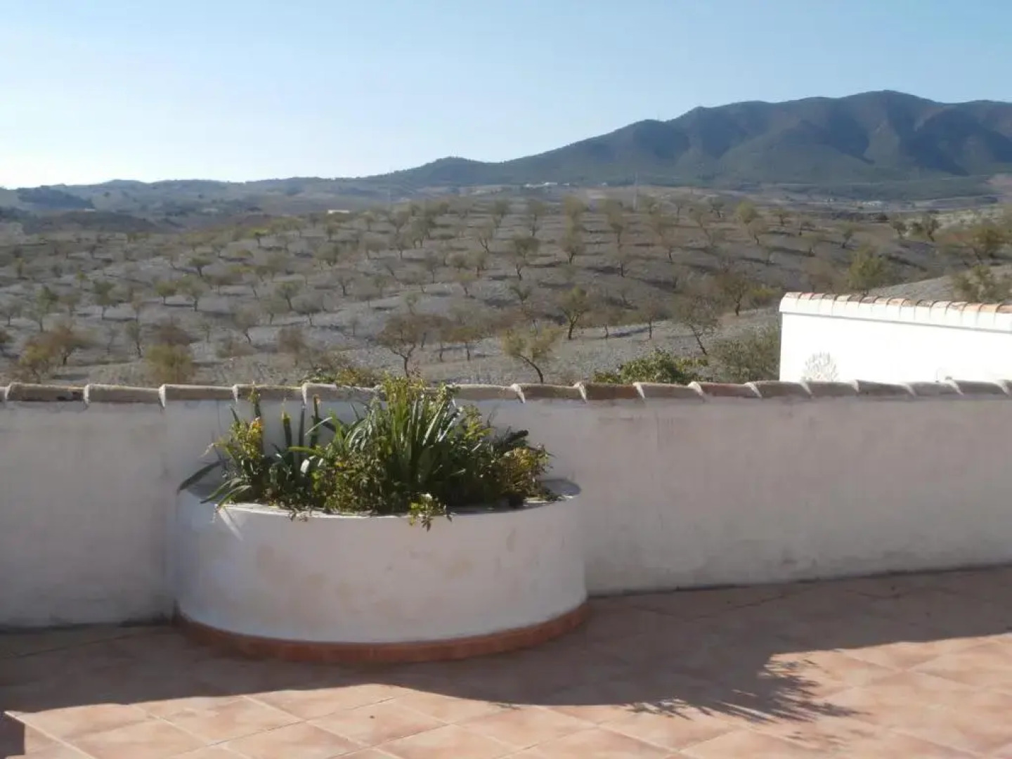 Las Persianas Azules