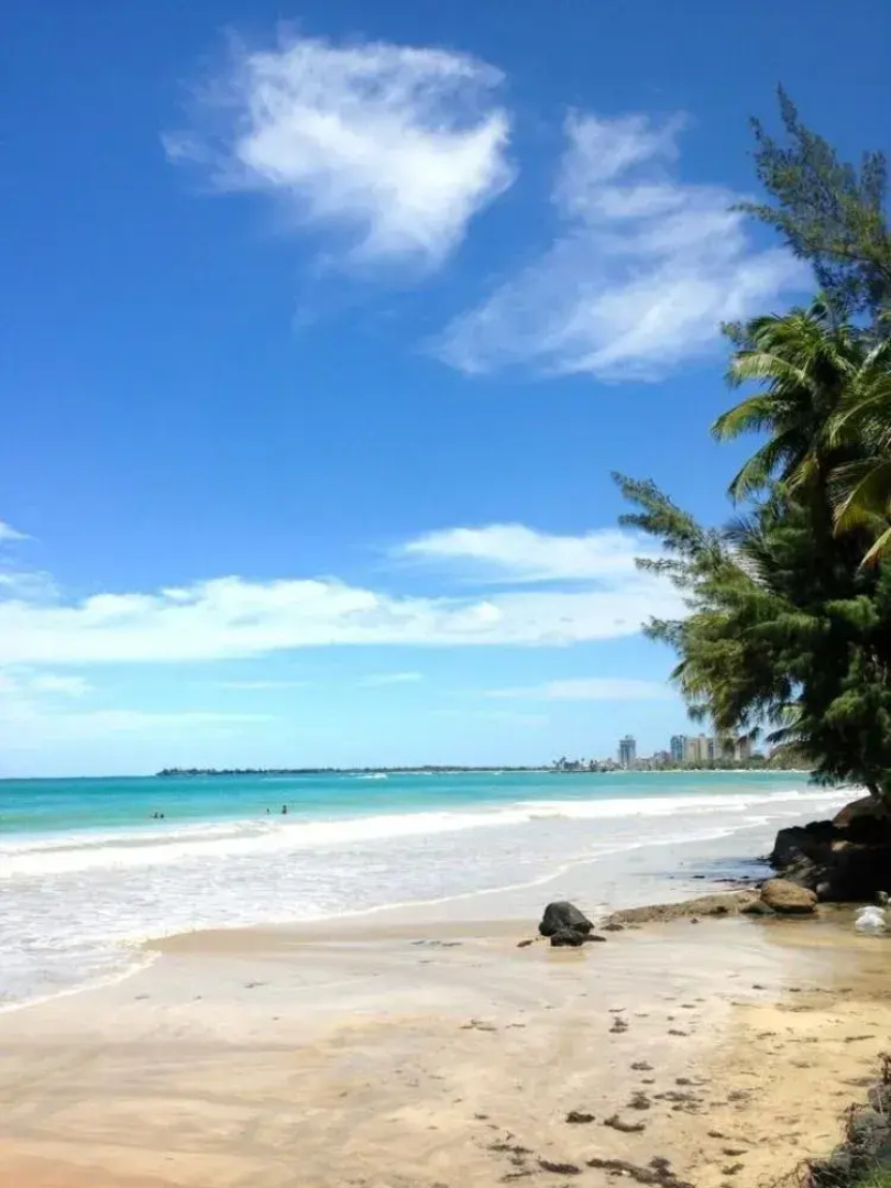 Green Island Apartments - Coral Beach
