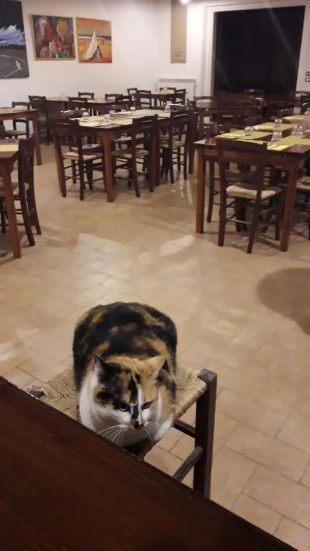 Agriturismo La Vita è Bella