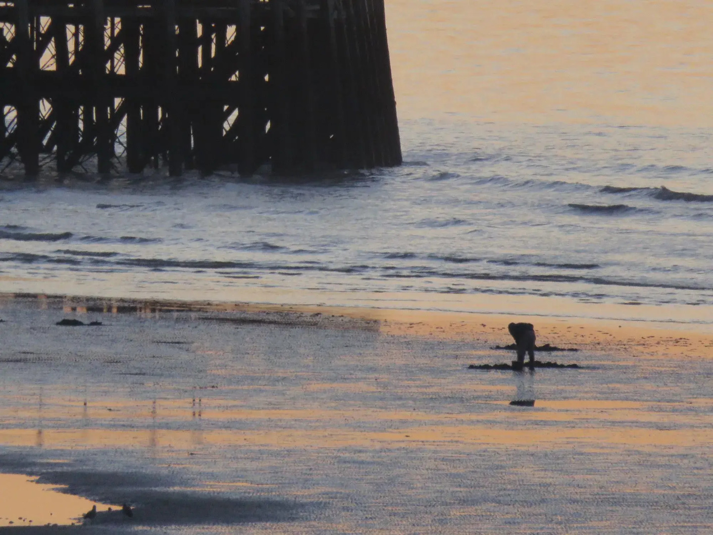 Marine View Guest House