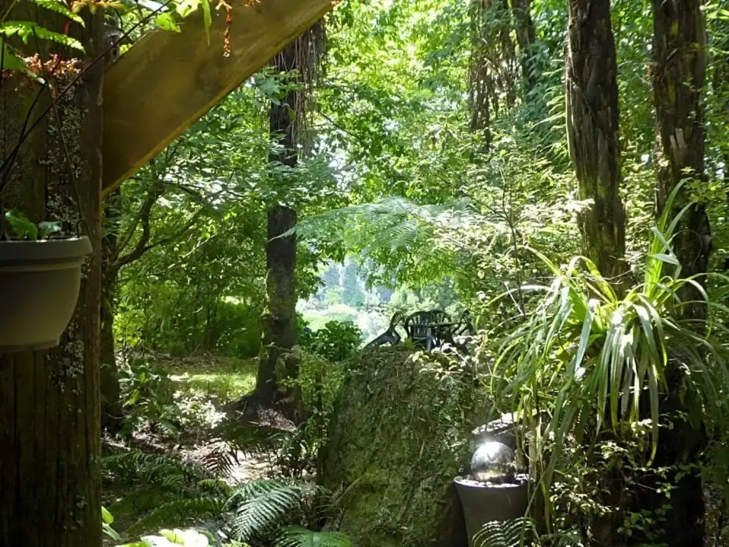 Mount Tutu Eco-Sanctuary