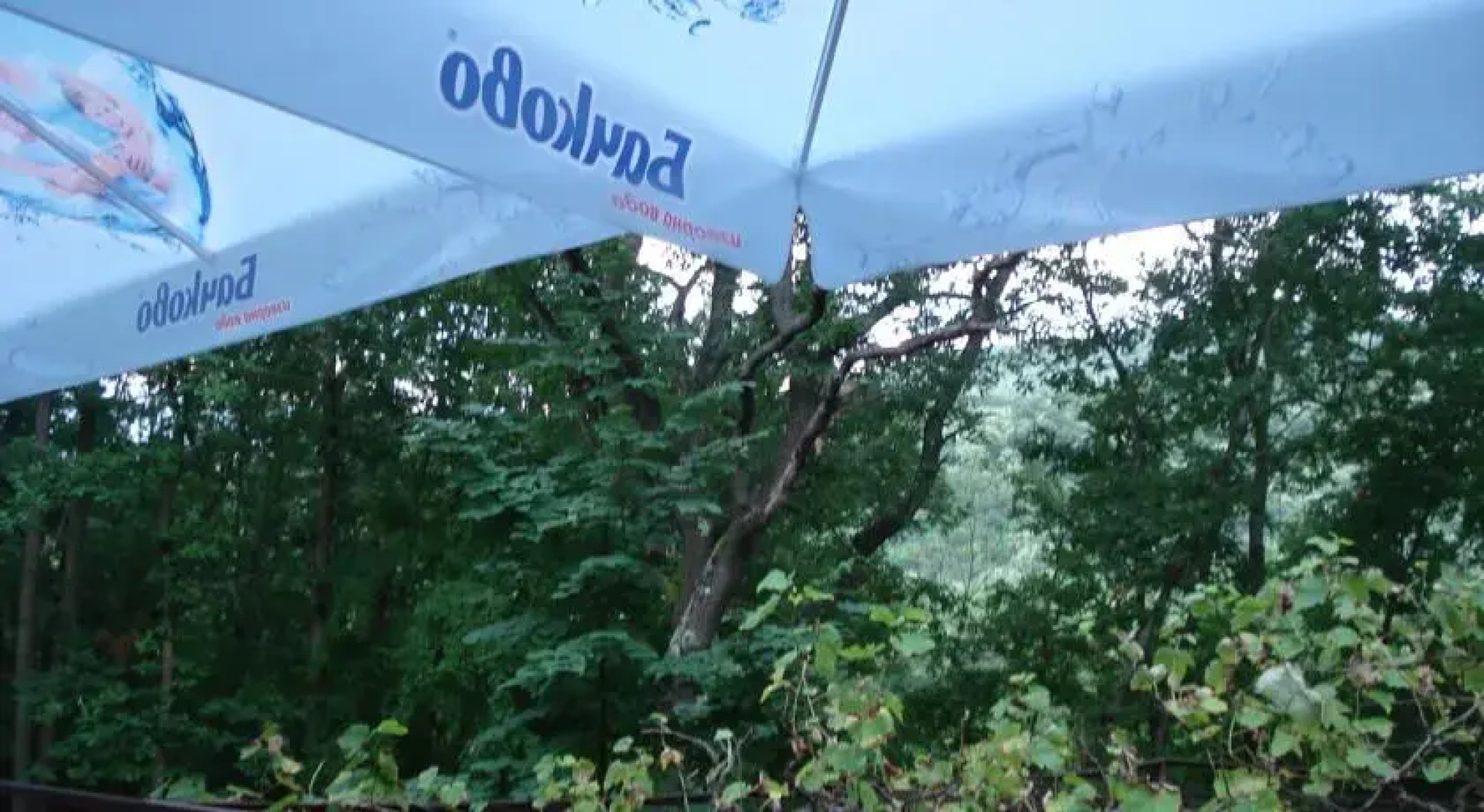 Dabova Gora Hostel