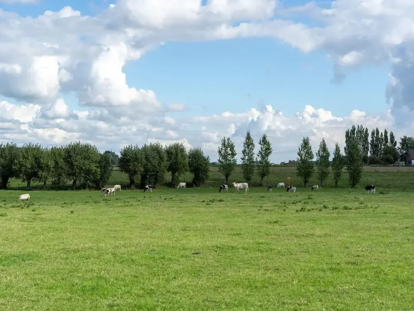 Spacious Holiday Home With Pond in Poperinge