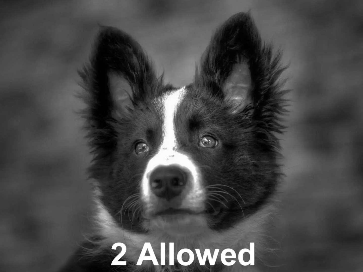 Aparthotel Rialb Andorra