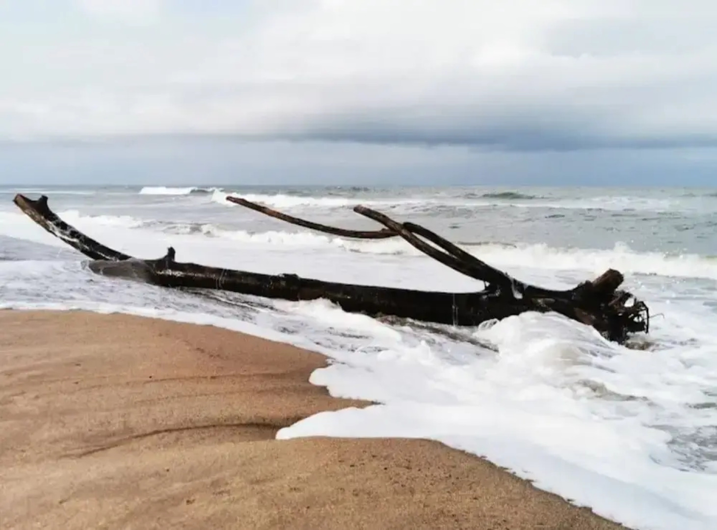 The Tropical Hut Lodges