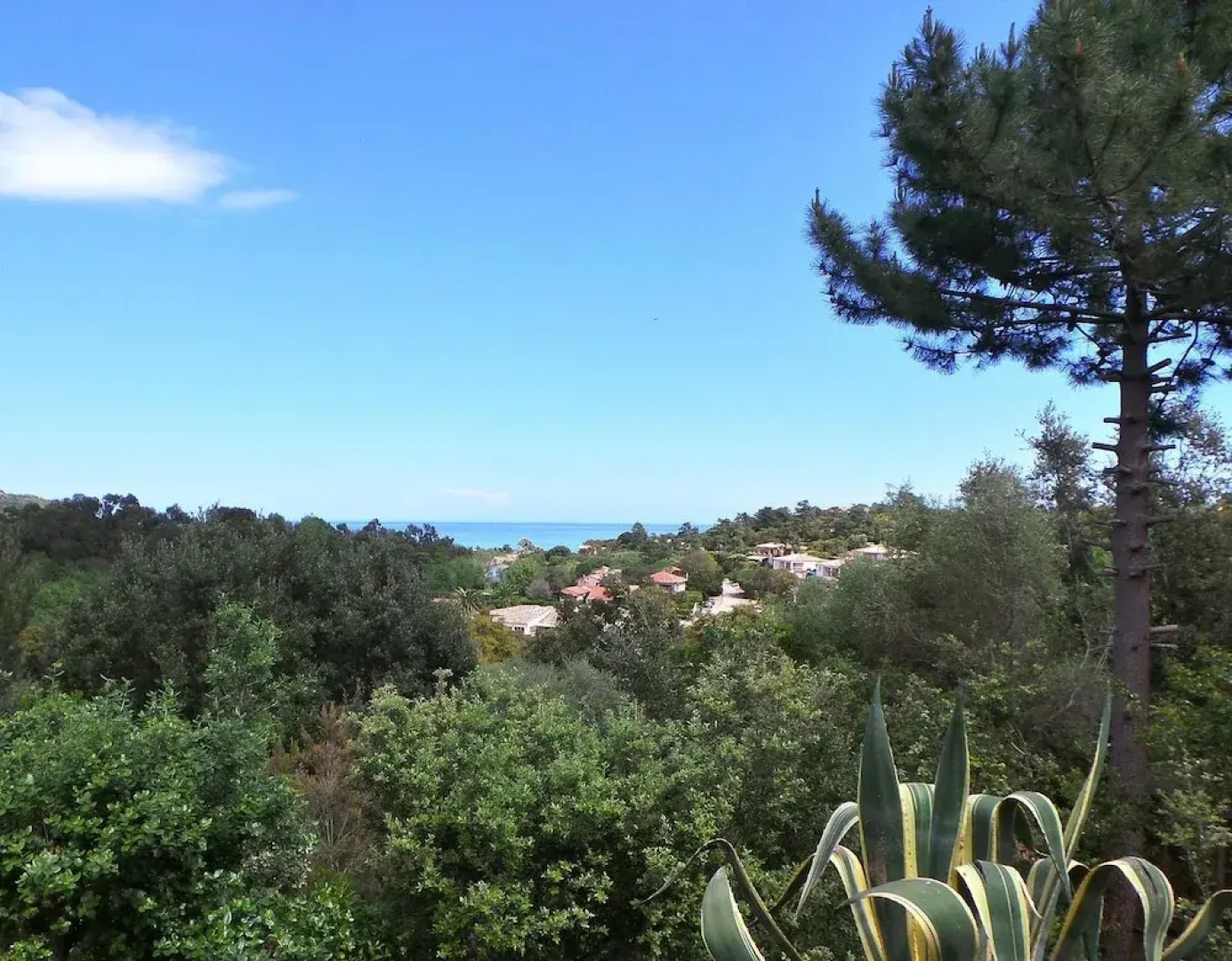 Appartements & Villas Olmuccio