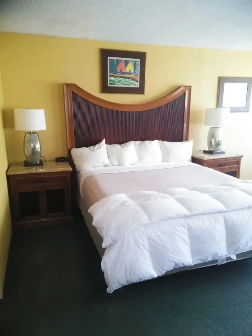 Springs Hotel and Spa