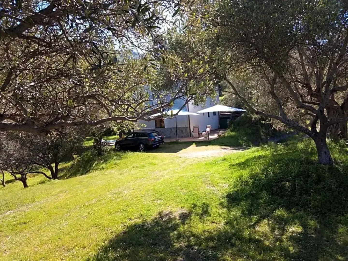 L'antica Quercia B&B