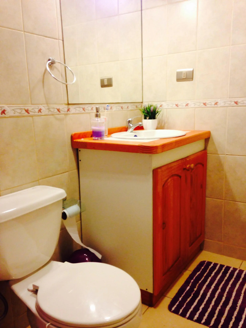 Peumayén Departamento Pucón