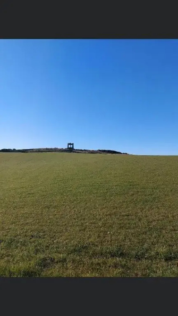 The Snug @ the Mill Inn