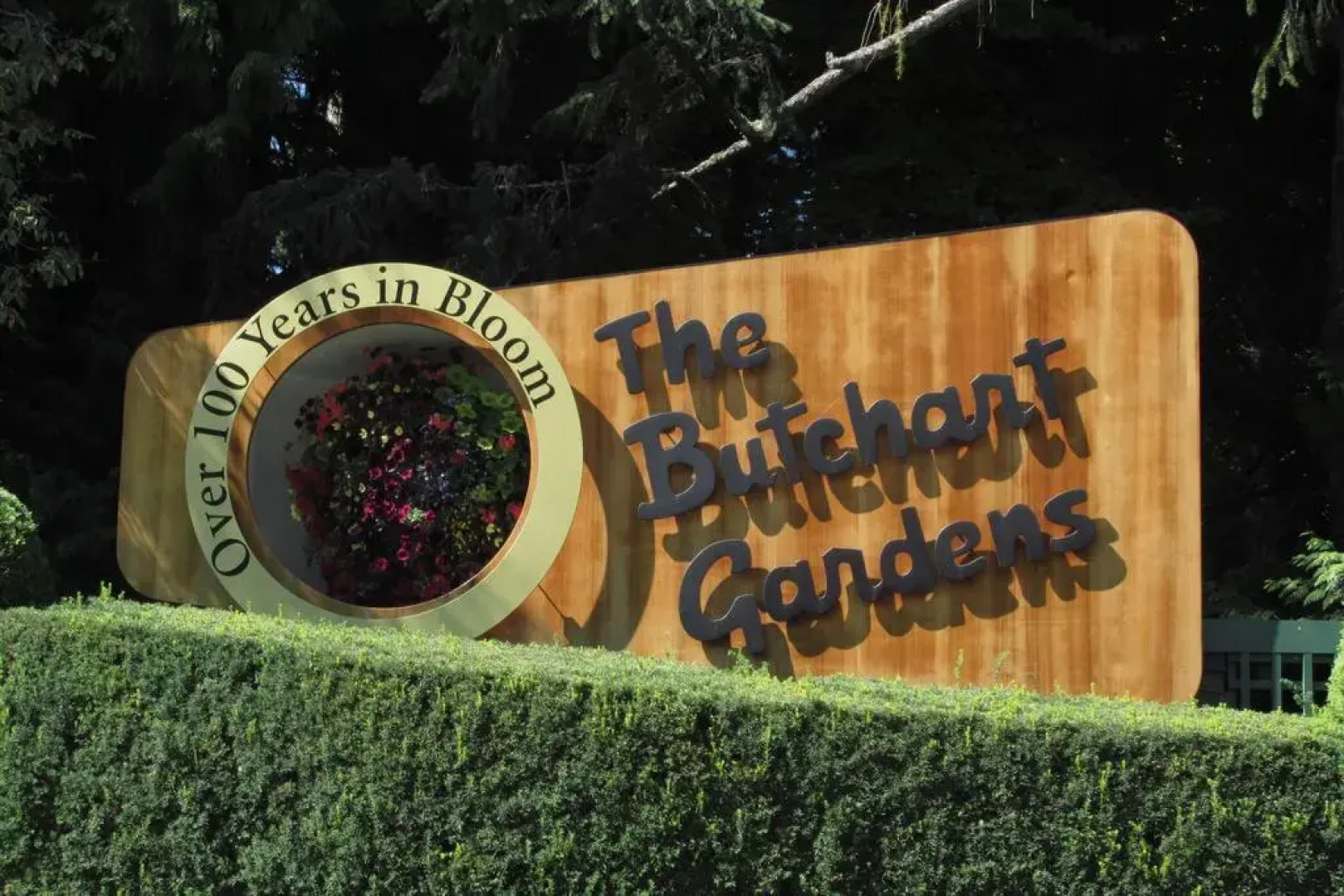 The Cabin+The Tiny Cabin: A Sooke Ocean View Oasis