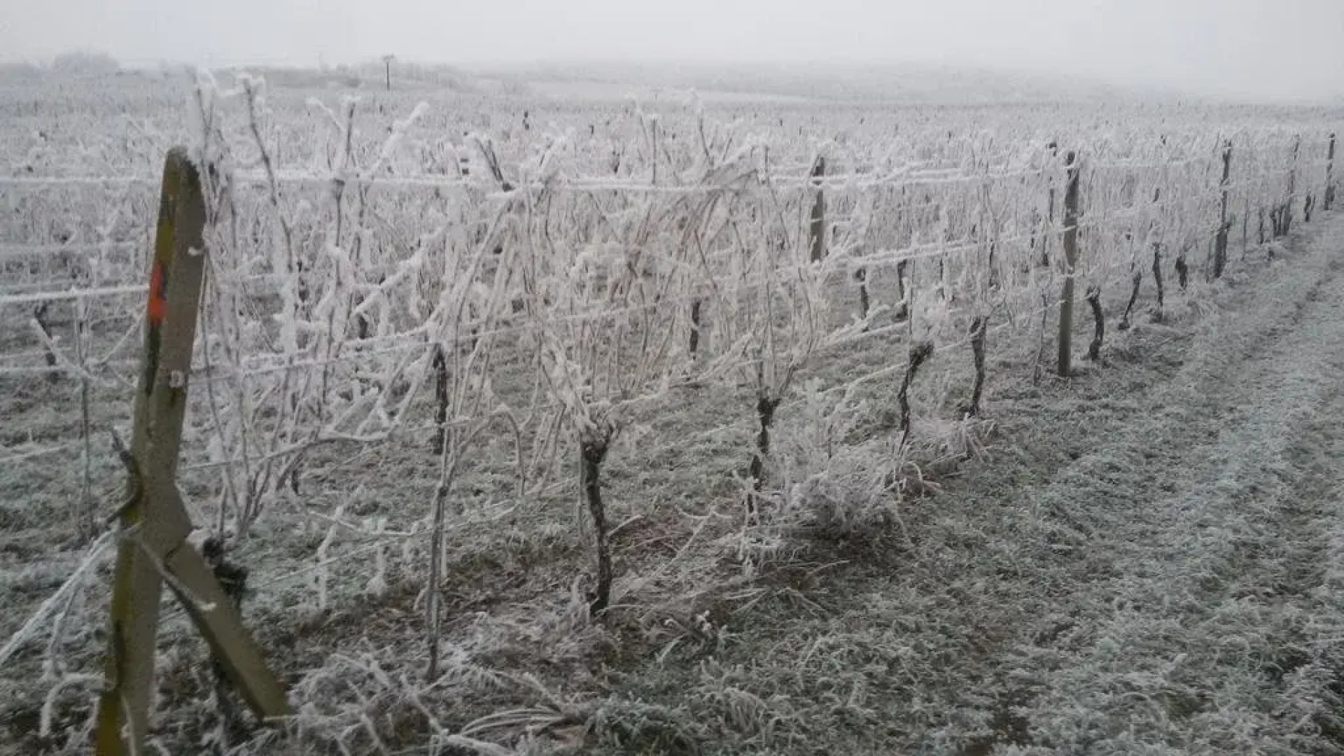 Wellness Rodinny Hotel U Langru