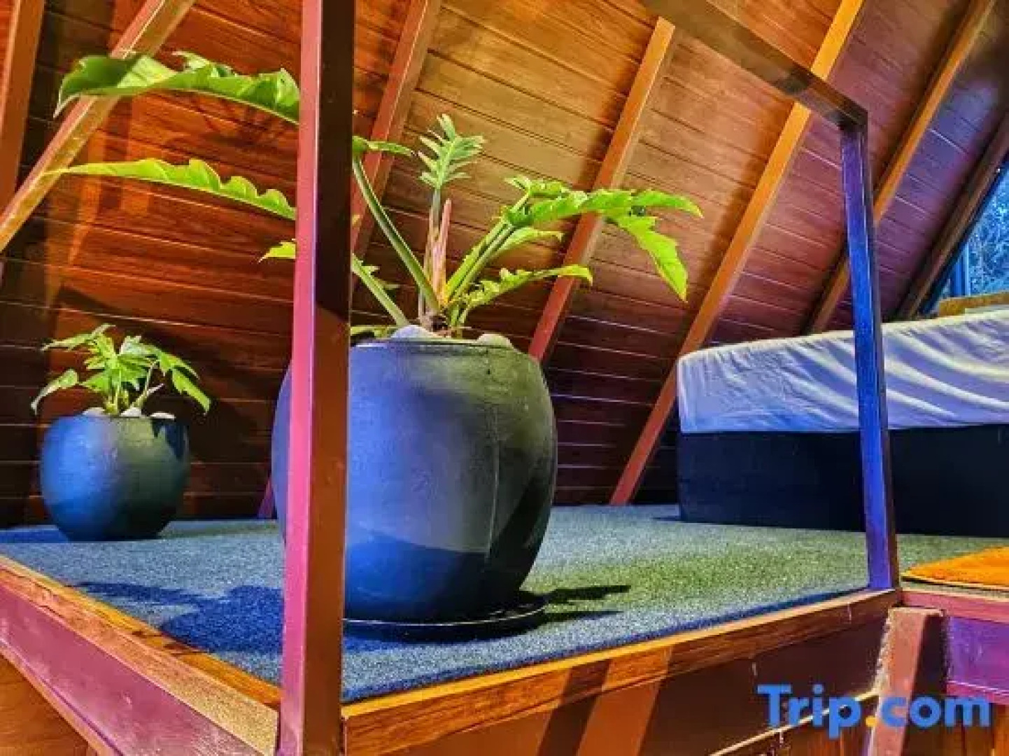 The Mountain Breeze Galle