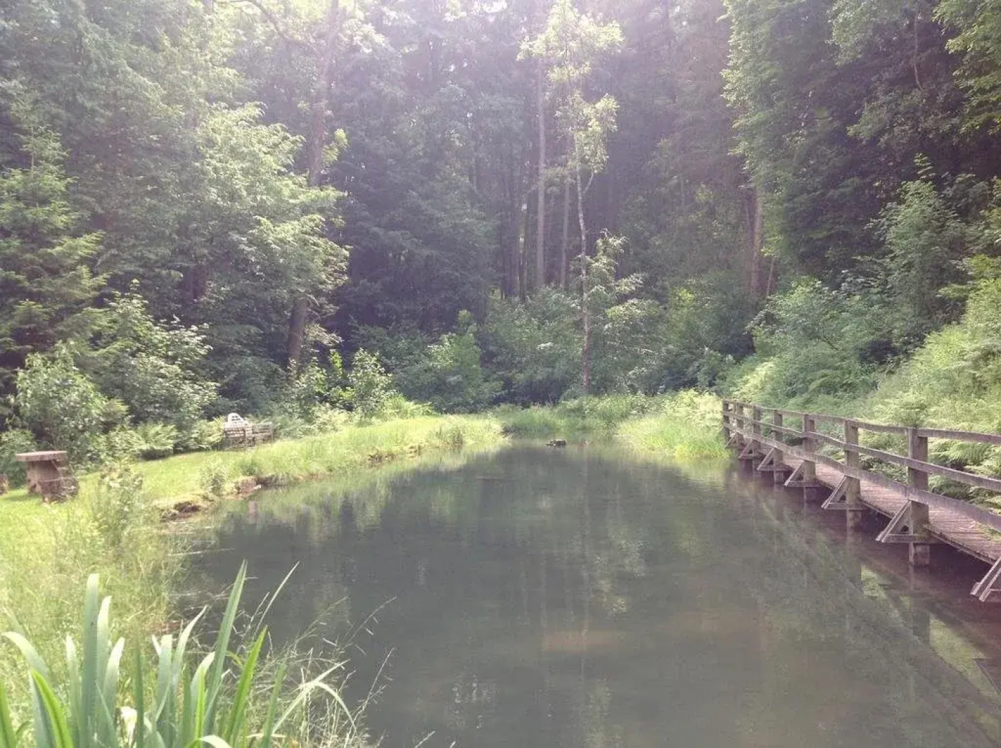 Le vieux moulin Bohan