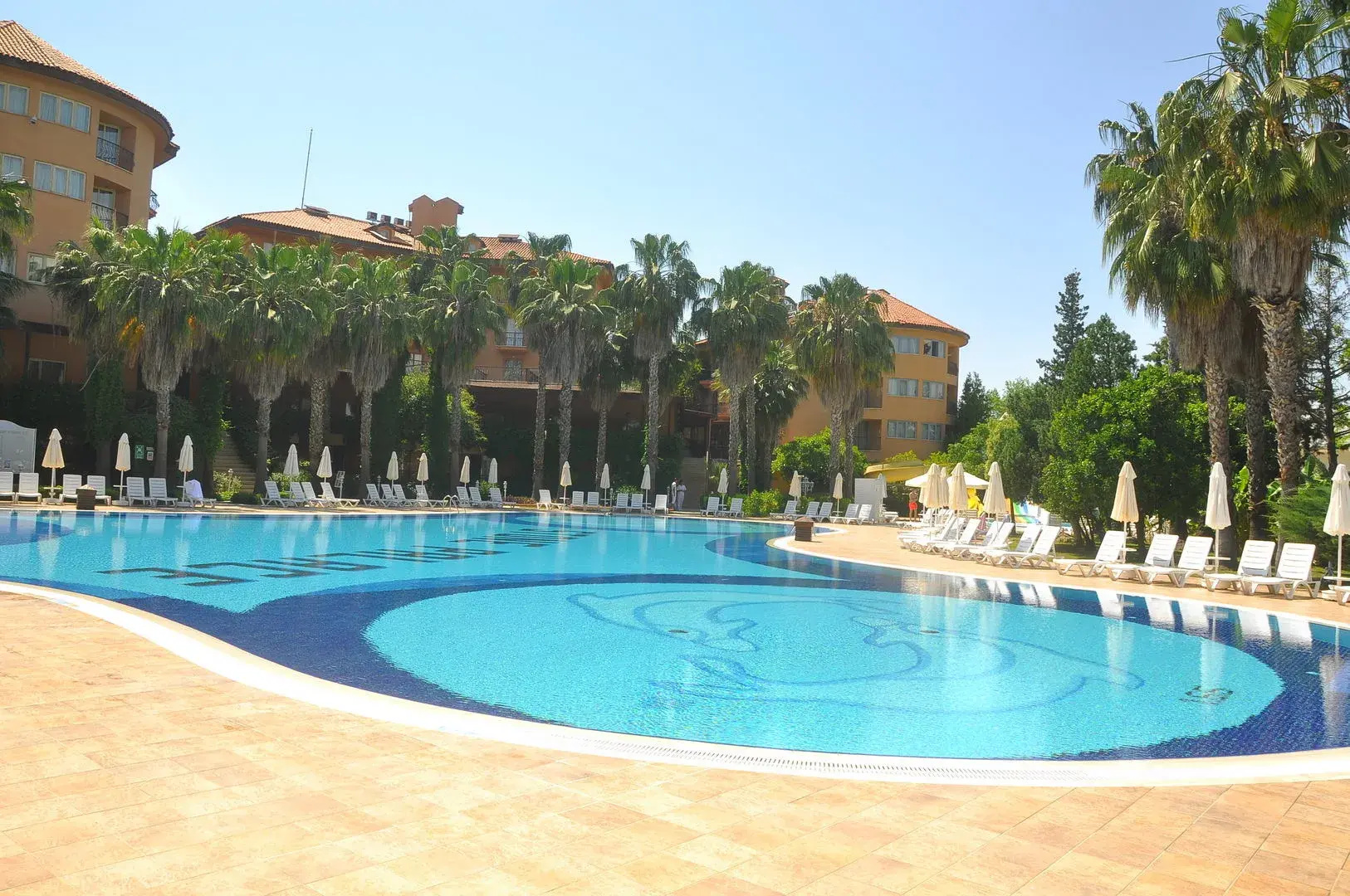 Numa Club Side