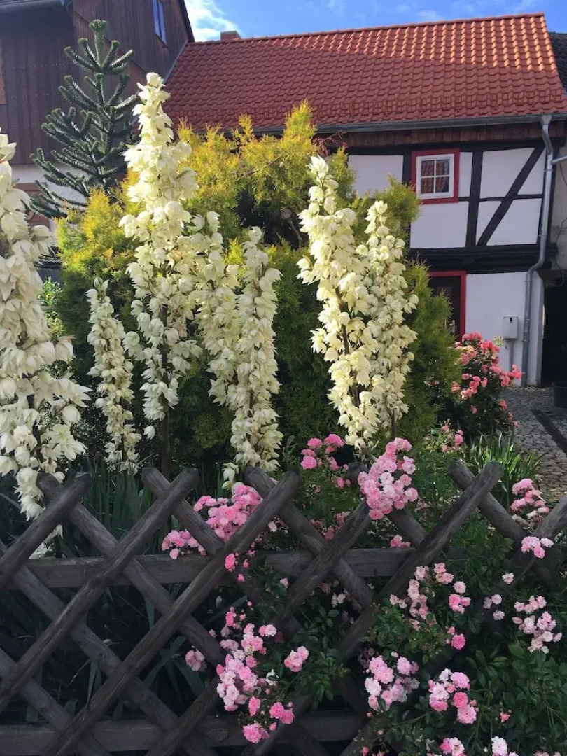 Gesindehaus Börnecke