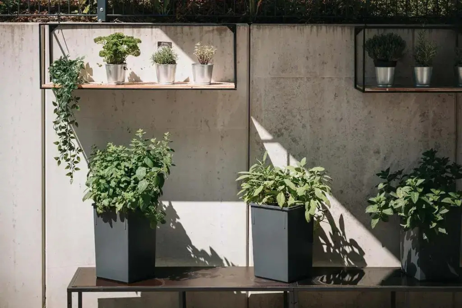 Coffee Fellows Hotel & Longstay