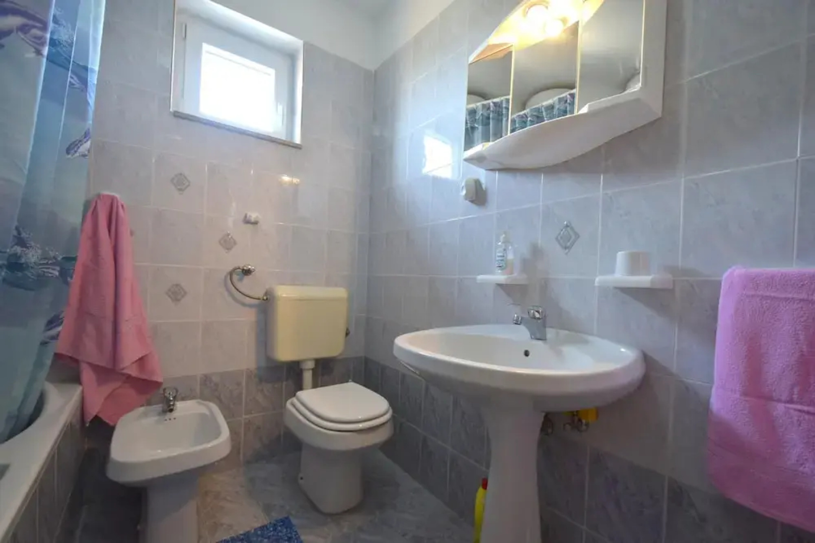 Three Bedroom Apartment Pinezic