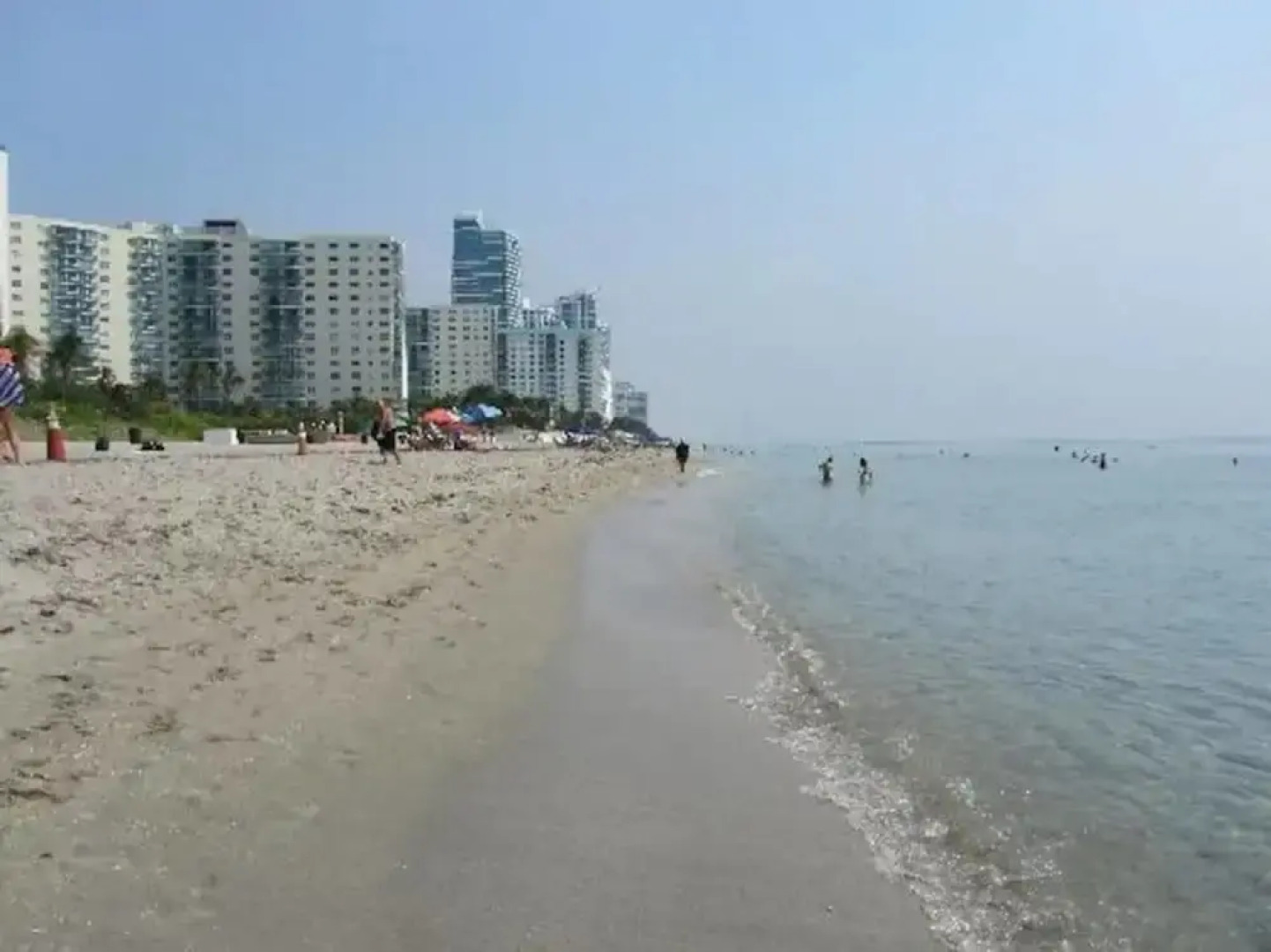 Amazing 1br apartment with pool, Hallandale Beach!