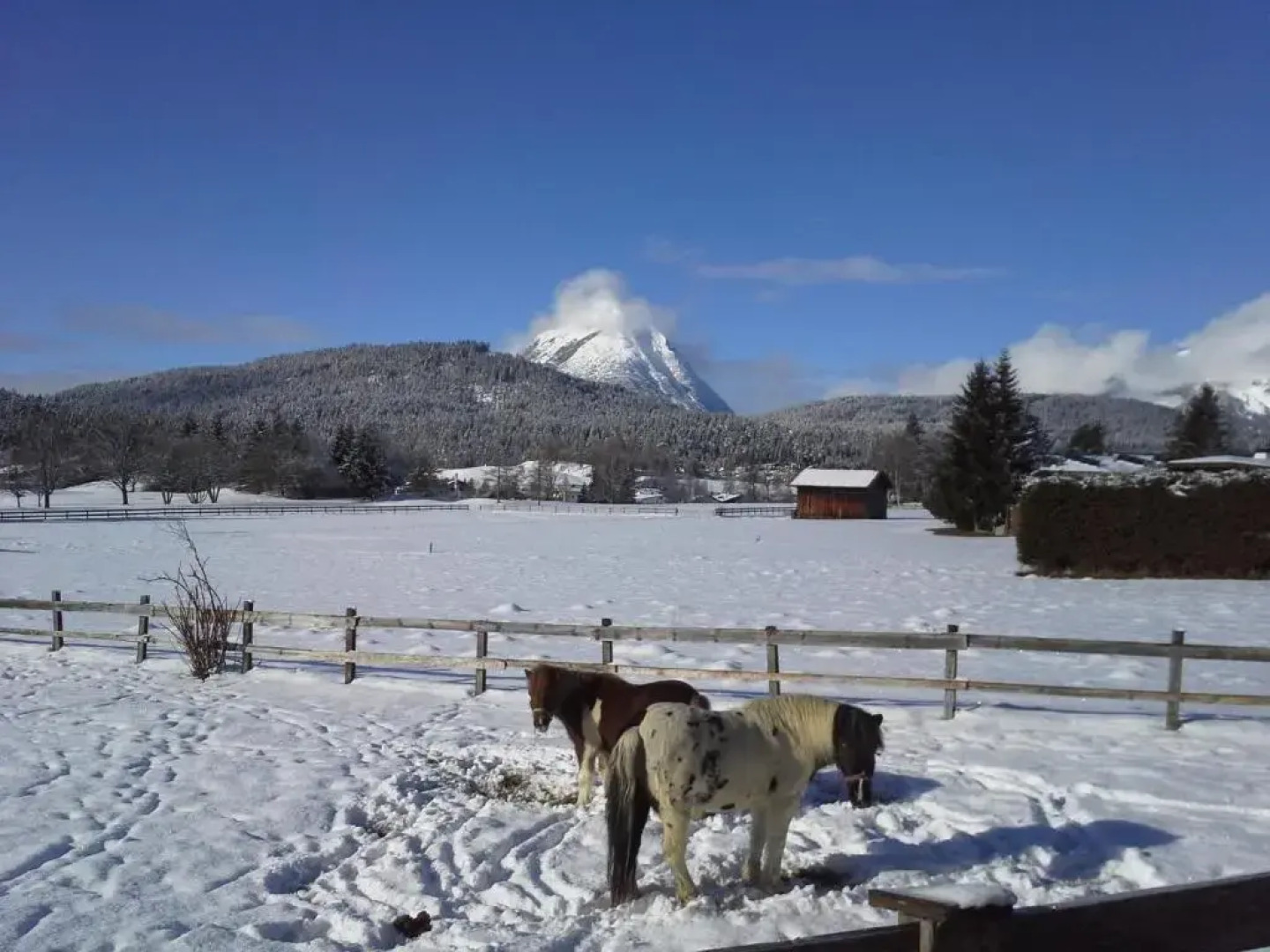 Haus Föhrenwald Ferienwohnung Mundeblick