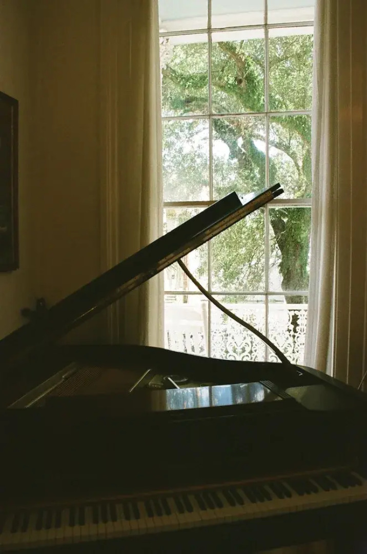 The Magnolia Mansion