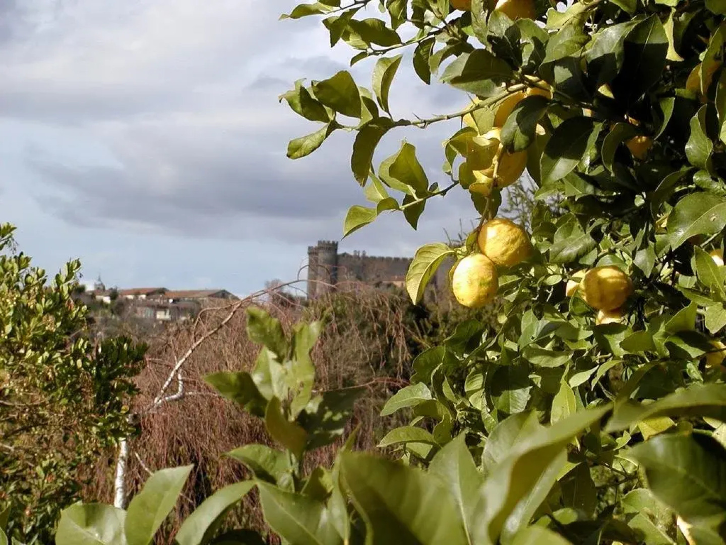 Bed and Breakfast I Gatti Del Castello