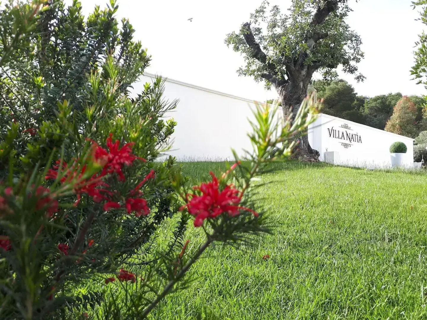 Hotel Villa Petruscio