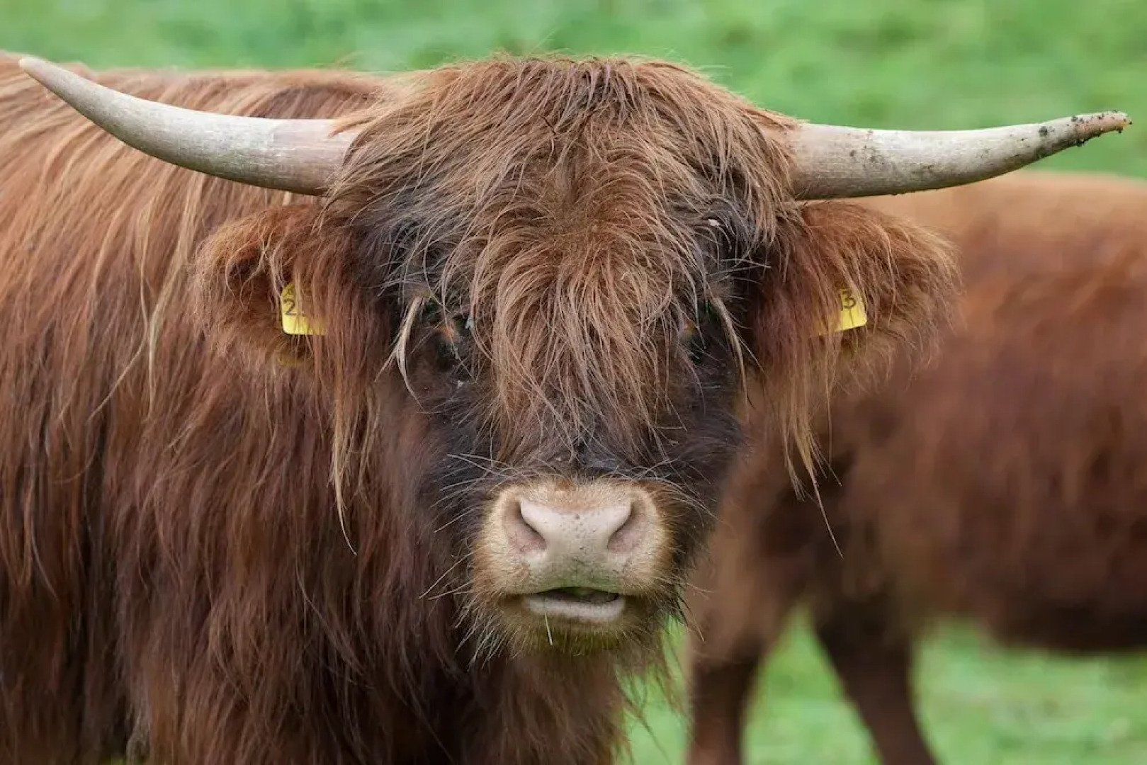 Reit-und Sporthotel Nordmann