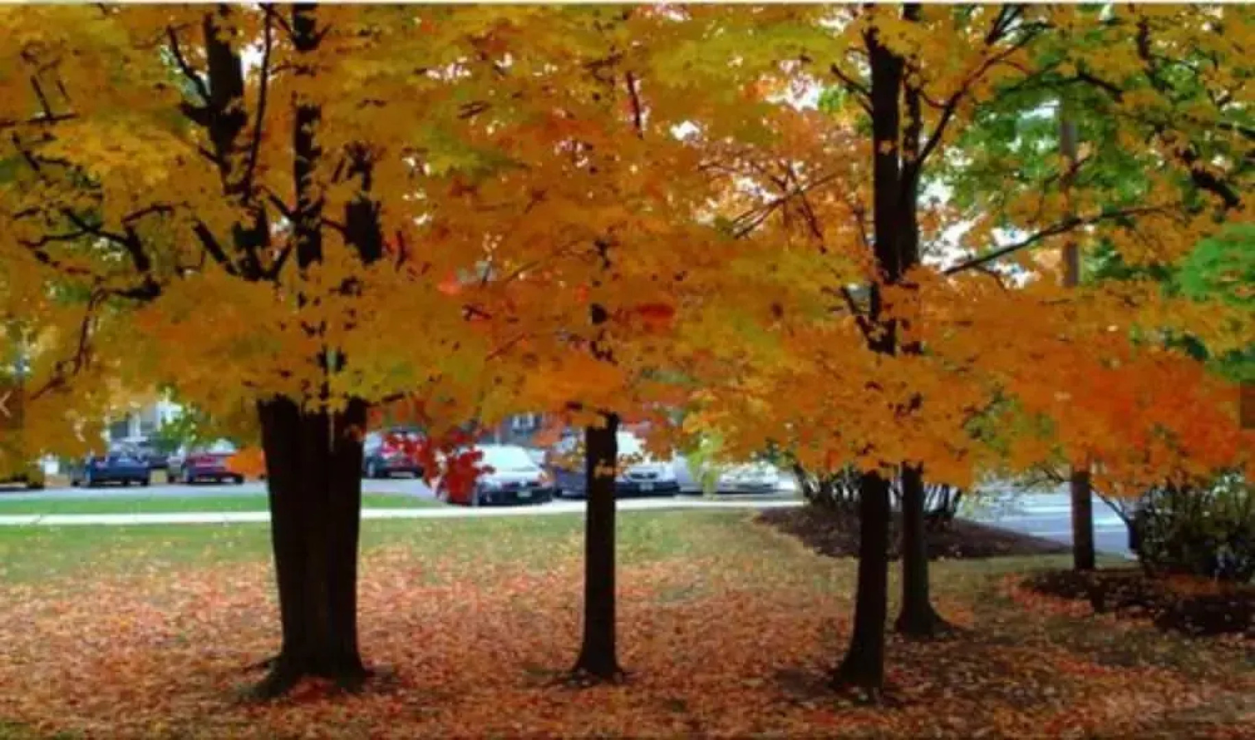 The Inn on the Green