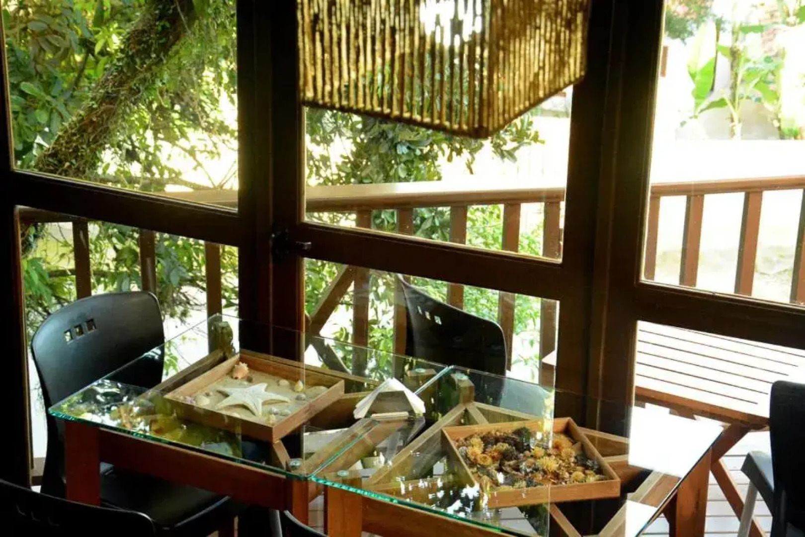 pousada solar das tartarugas