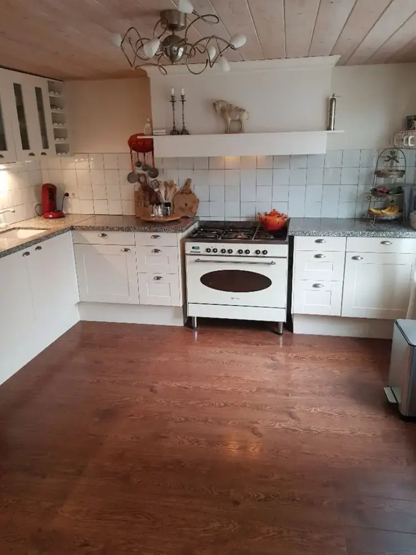 Impeccable 4-bed House in Castricum Butterfly