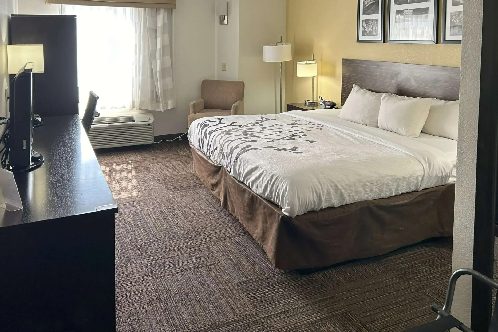 Sleep Inn Wilson near I-95