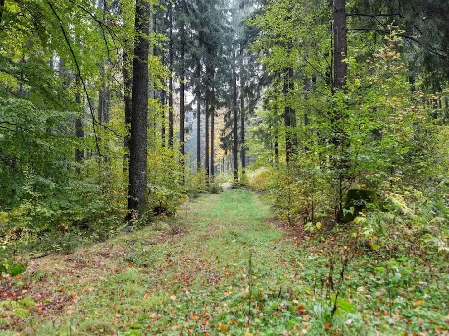 Holiday Home in Altenfeld With Private Terrace