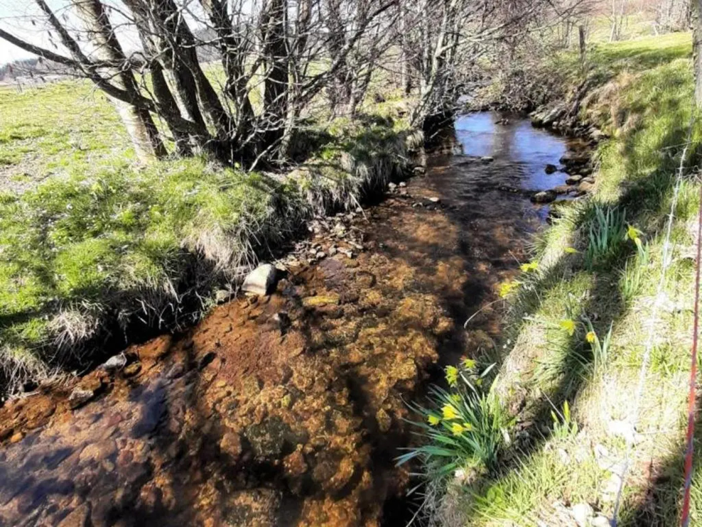 Appartement Saint-Genest-Malifaux, 2 pièces, 2 personnes - FR-1-496-228