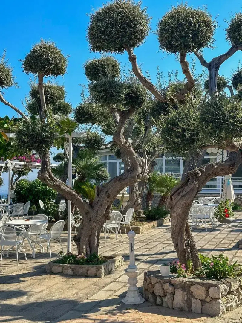 Villaggio Villa Lubrense