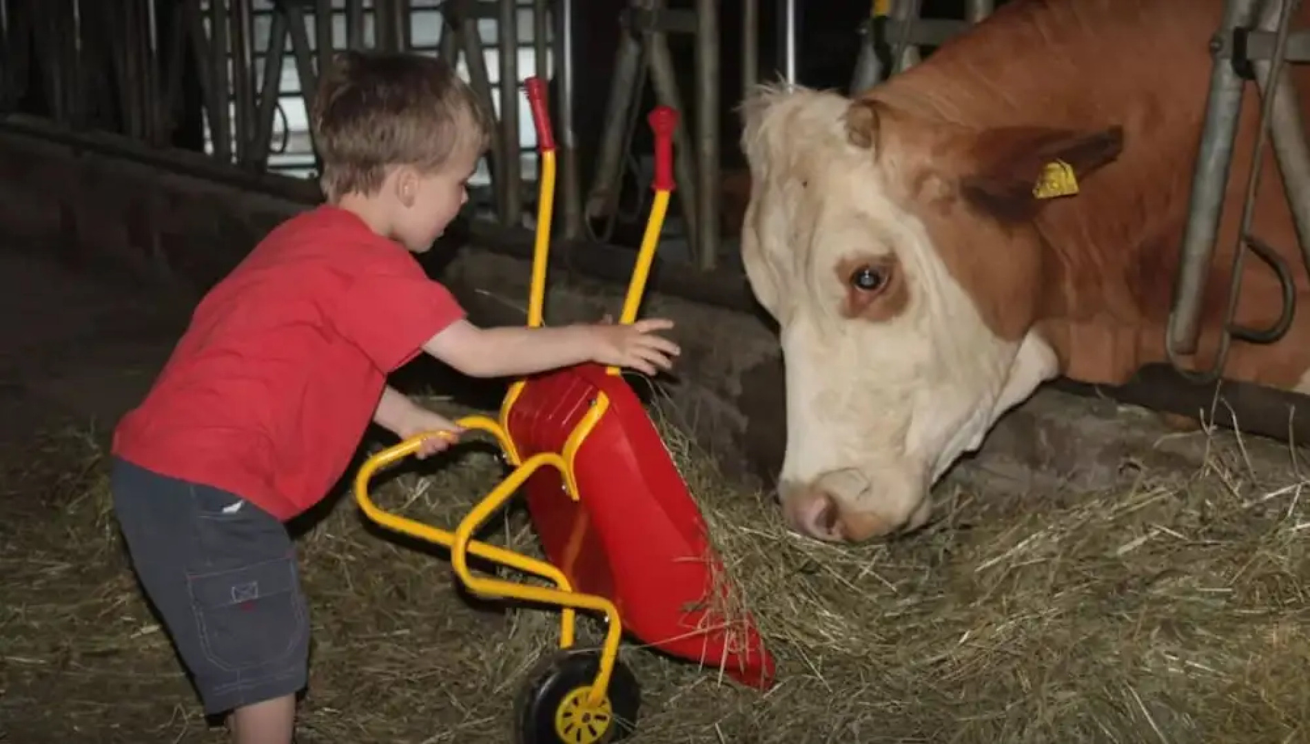 Lacknerhof in Liebenfels- Familie Klocker
