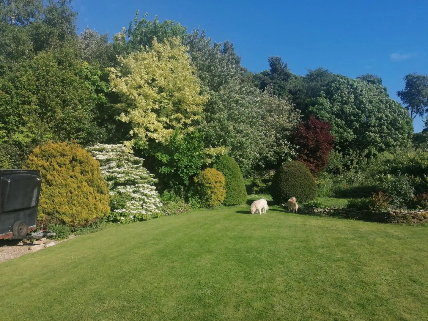 Larch Cottage, Ruston dog friendly with hot tub