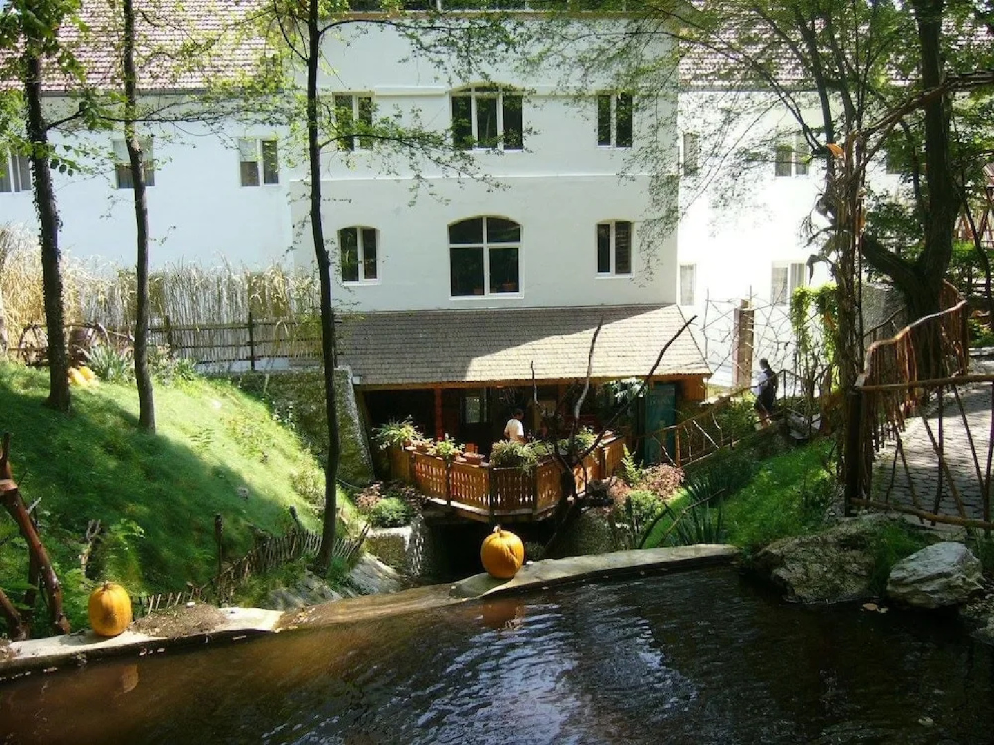 Hotel Ferdinand Baile Herculane