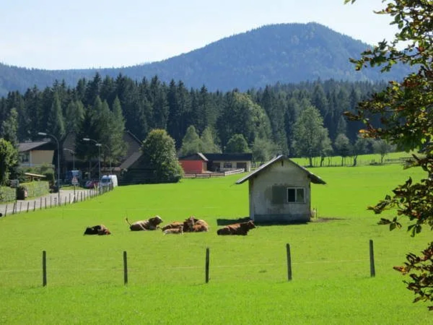 Ferienwohnungen Margreiter