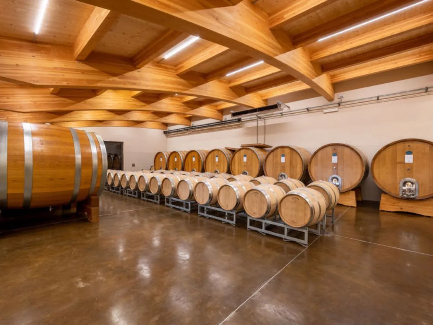 Collina San Ponzio (BOO100)