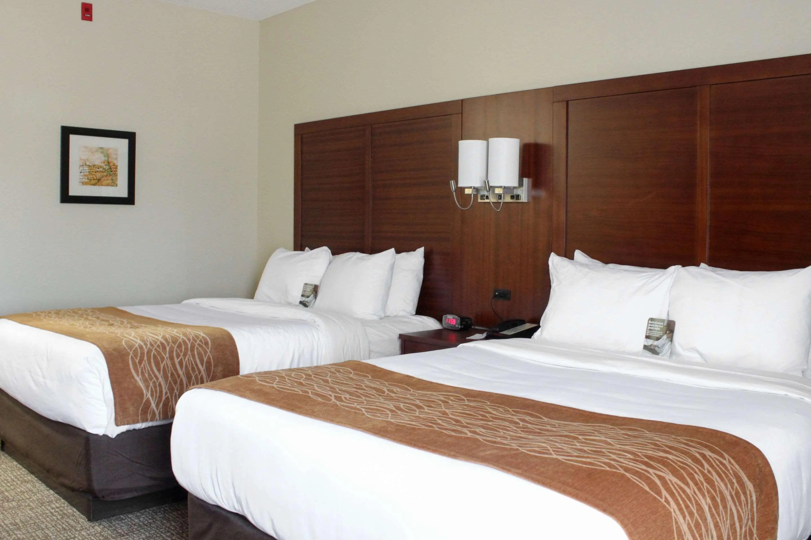 Comfort Inn & Suites Fultondale Gardendale I-65